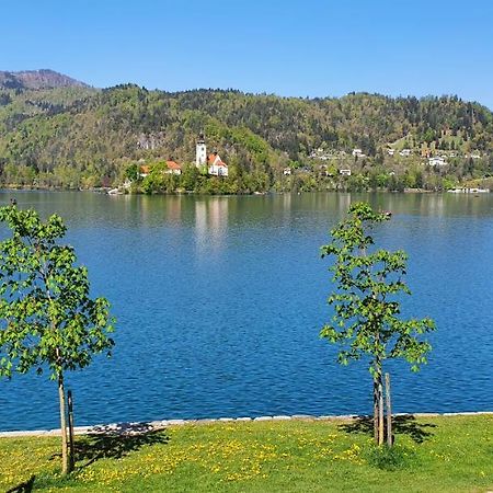 Appartamento Apartma Panorama Bled Esterno foto